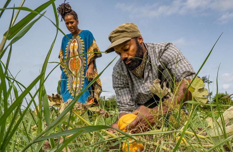 Agricultural professionals working in the field